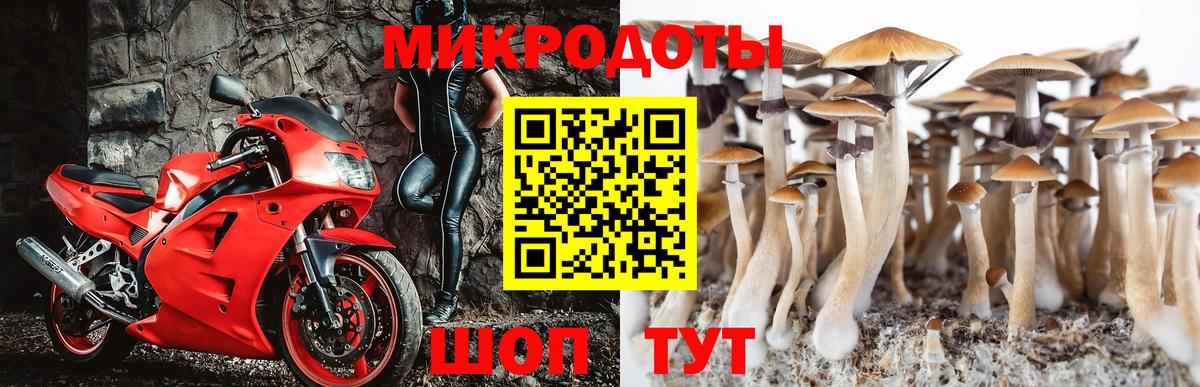 Медногорск  Псилоцибиновые грибы прущие грибы  Вход с VPN 